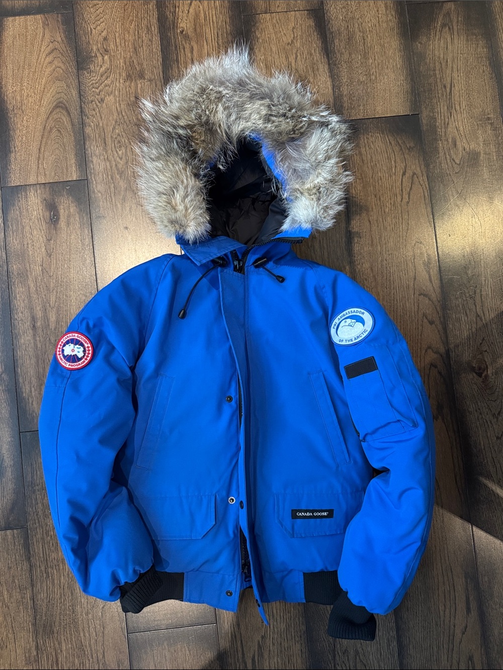 Canada Goose PBI Blue Chilliwack Bomber